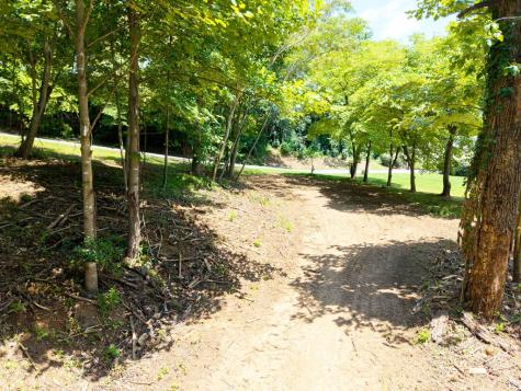 Lot #3 Tranquil Pointe Lane Hiawassee GA 30546