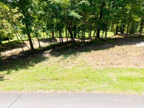Lot #3 Tranquil Pointe Lane Hiawassee GA 30546