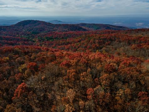 36 Utana Bluffs Trail Ellijay GA 30540