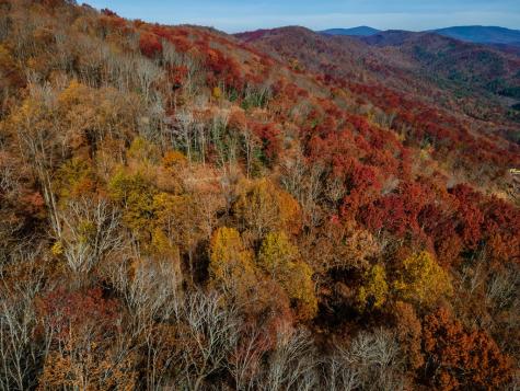 36 Utana Bluffs Trail Ellijay GA 30540