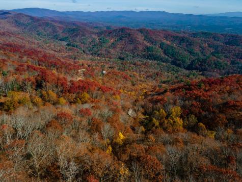 36 Utana Bluffs Trail Ellijay GA 30540