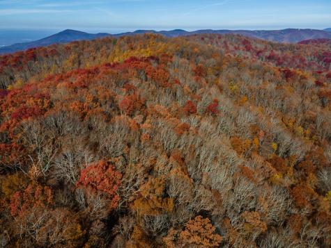 36 Utana Bluffs Trail Ellijay GA 30540