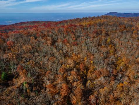 36 Utana Bluffs Trail Ellijay GA 30540