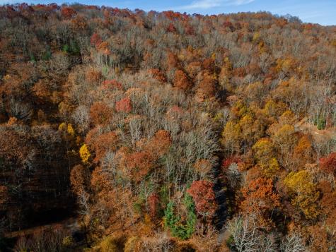 36 Utana Bluffs Trail Ellijay GA 30540