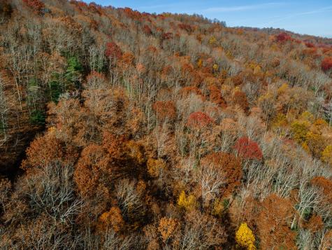 36 Utana Bluffs Trail Ellijay GA 30540