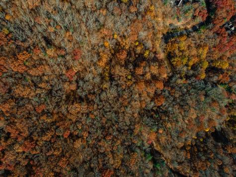 36 Utana Bluffs Trail Ellijay GA 30540