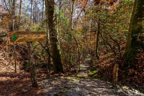 36 Utana Bluffs Trail Ellijay GA 30540