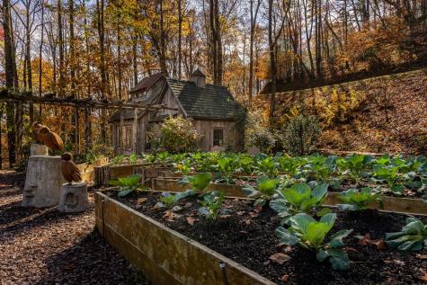 36 Utana Bluffs Trail Ellijay GA 30540