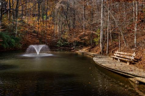 36 Utana Bluffs Trail Ellijay GA 30540