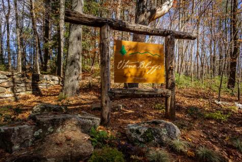 36 Utana Bluffs Trail Ellijay GA 30540