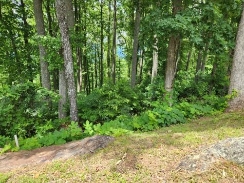 Lot 18 Rocky Knob Estates Young Harris GA 30582