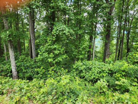 Lot 18 Rocky Knob Estates Young Harris GA 30582