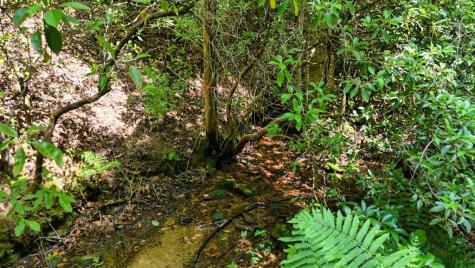 201 Jaguar Lane Blue Ridge GA 30513