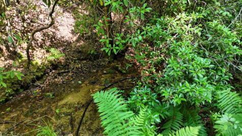 201 Jaguar Lane Blue Ridge GA 30513