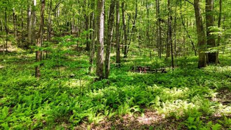 201 Jaguar Lane Blue Ridge GA 30513