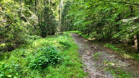 201 Jaguar Lane Blue Ridge GA 30513