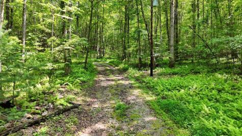 201 Jaguar Lane Blue Ridge GA 30513