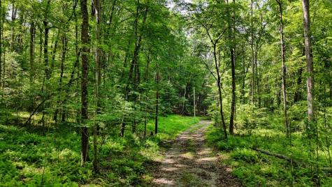 201 Jaguar Lane Blue Ridge GA 30513