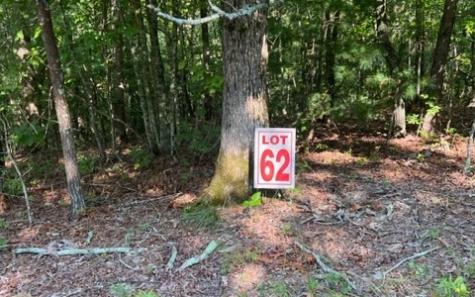 LT61&62 Honeysuckle Way Ellijay GA 30540