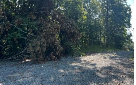 LT61&62 Honeysuckle Way Ellijay GA 30540