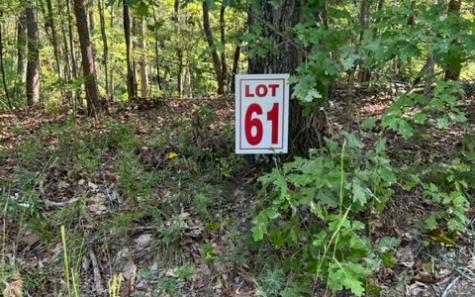 LT61&62 Honeysuckle Way Ellijay GA 30540