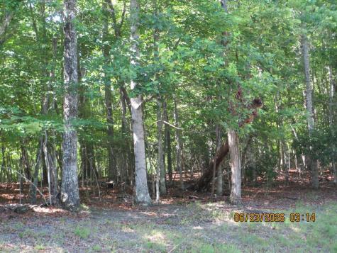 Lot 8 S Quail Cove Circle Warne NC 28909