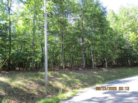 Lot 8 S Quail Cove Circle Warne NC 28909