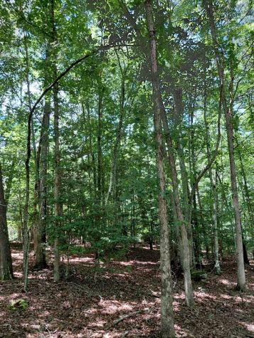 Lot 8 S Quail Cove Circle Warne NC 28909
