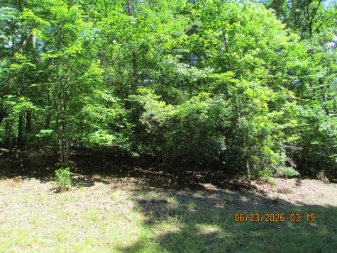 Lot 8 S Quail Cove Circle Warne NC 28909