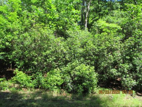 Lot 8 S Quail Cove Circle Warne NC 28909