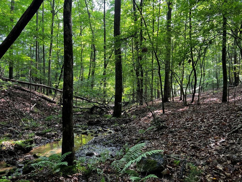 3.52 Ac Payne Way Blairsville GA 30512