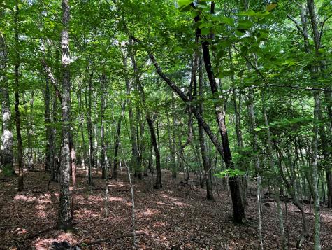 3.52 Ac Payne Way Blairsville GA 30512