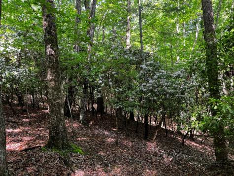 3.52 Ac Payne Way Blairsville GA 30512