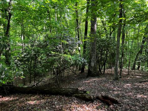 3.52 Ac Payne Way Blairsville GA 30512