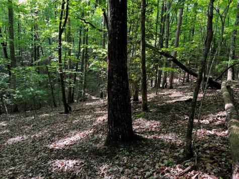 3.52 Ac Payne Way Blairsville GA 30512