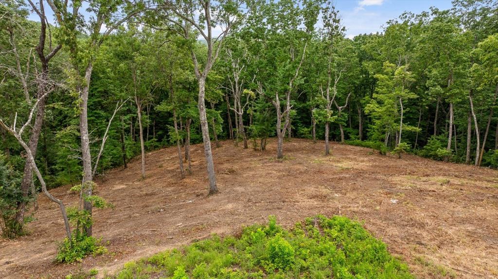 Lot 92 Timberline Trail Talking Rock GA 30175