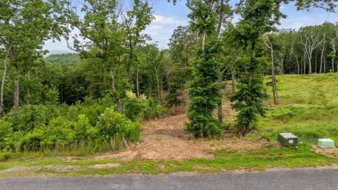 Lot 92 Timberline Trail Talking Rock GA 30175