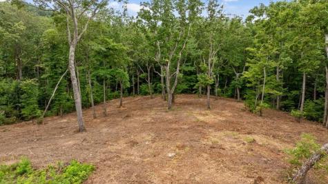 Lot 92 Timberline Trail Talking Rock GA 30175