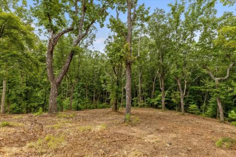 Lot 92 Timberline Trail Talking Rock GA 30175