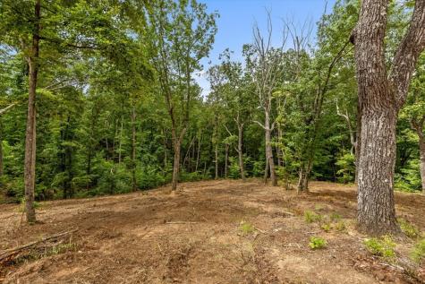 Lot 92 Timberline Trail Talking Rock GA 30175