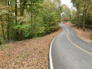 Lot 2246 Palisade Drive Ellijay GA 30540