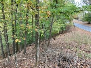 Lot 2246 Palisade Drive Ellijay GA 30540