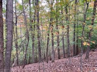 Lot 2246 Palisade Drive Ellijay GA 30540