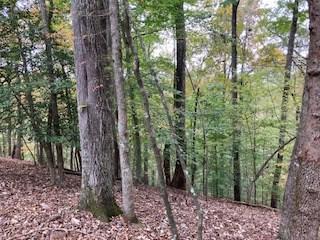 Lot 2246 Palisade Drive Ellijay GA 30540