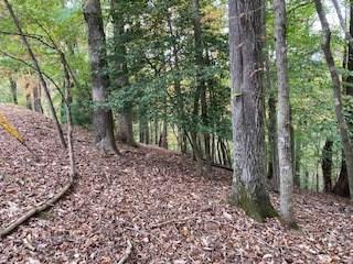 Lot 2246 Palisade Drive Ellijay GA 30540