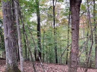 Lot 2246 Palisade Drive Ellijay GA 30540