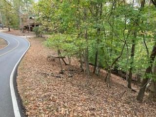Lot 2246 Palisade Drive Ellijay GA 30540