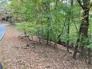 Lot 2246 Palisade Drive Ellijay GA 30540