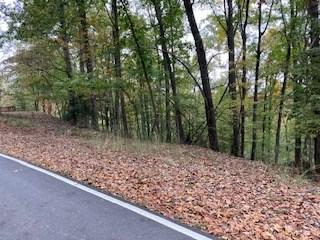 Lot 2246 Palisade Drive Ellijay GA 30540