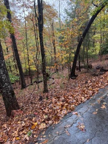 Lt 264 Zenith Trail Ellijay GA 30540